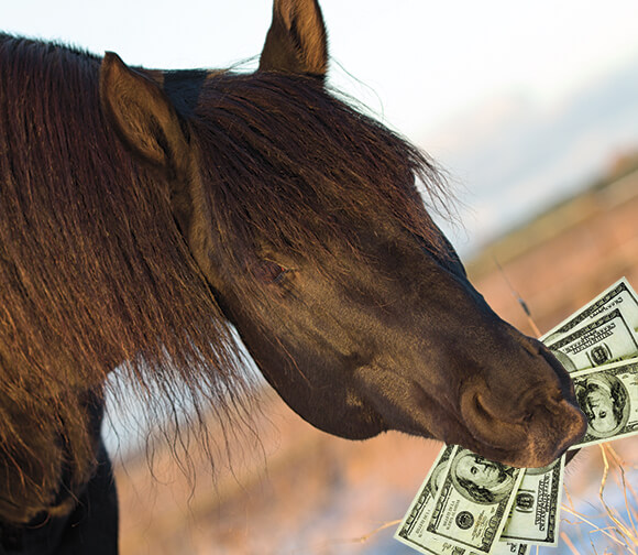 Moneyhorse